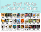 Spanish Alphabet Chart with Real Photos!