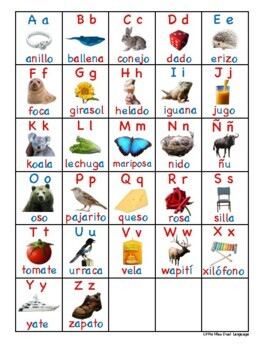 Alfabeto en español (fotos reales y colores Montessori) / Spanish alphabet