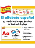 Spanish Alphabet Printable Flashcards / Wall Display (El alfabeto español)