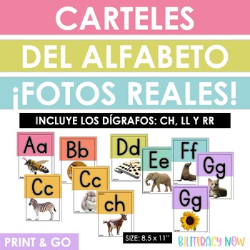 Preview of Spanish Alphabet Real Photos | El alfabeto con fotos reales