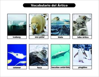 Preview of Spanish Animals, Habitats and Food chains / Animales, Hábitats y Cadenas Aliment