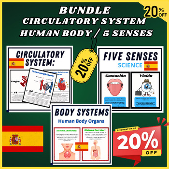 Preview of Spanish Big Bundle, Circulatory System -Human Body Organs Facts, 5 senses Facts