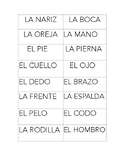 Spanish Body Labels