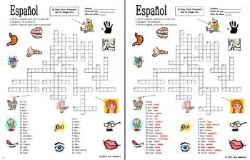 spanish body parts crossword puzzle 30 words and image ids 16 words cuerpo