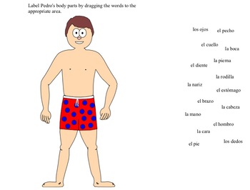 Preview of Spanish Body Parts Interactive Notebook