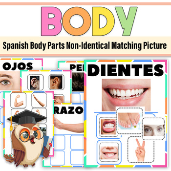 Preview of Spanish Body Parts Non-Identical Matching Picture | Errorless Body Parts