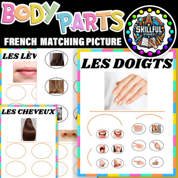Preview of French Body Parts Non-Identical Matching Picture | Errorless Body Parts