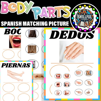 Preview of Spanish Body Parts Non-Identical Matching Picture |Errorless Body Parts Sorting