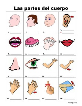 spanish body parts for kids