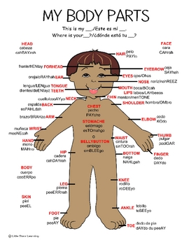 Spanish Body Parts Poster by Little Stars Learning | TpT