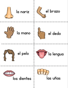 spanish body parts interactive activity no prep lesson el