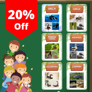 Spanish Bundle Cards of Real Photos: Flying and Sea Animals / Reptiles /  Insects