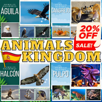 Preview of Spanish Bundle : Real Life Photos For 4 Types of Animal Kingdom - Vol 2