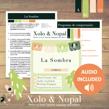Preview of Spanish Comprehension - with audio La Familia Intermediate Level