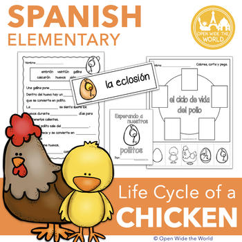 Preview of Spanish Dual Language Life Cycle of a Chicken el ciclo de vida del pollo