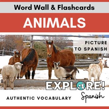 Preview of Spanish | EDITABLE Animals Word Wall & Vocabulary Flashcards