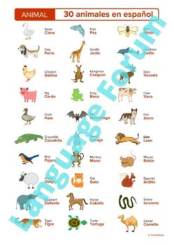 Spanish English Animals Poster | Animales by Language Forum | TpT