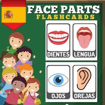 Preview of Spanish Face Parts Flashcards