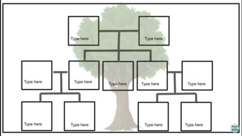 Spanish Family Tree Project | Family Tree Templates and Project | TpT