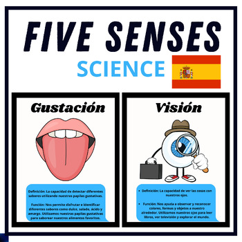 Preview of Spanish Five Senses Unit – Flashcards_Activities; 5 Senses Vocabulary Printables