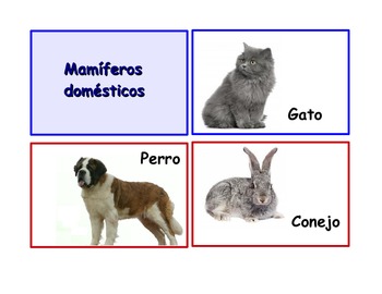Preview of Spanish Flash Cards "Los animales" ,Animals and their classifications.90 .
