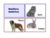 Spanish Flash Cards "Los animales" ,Animals and their clas