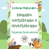 Spanish Flash Cards Science Animals Tarjetas Animales Vert
