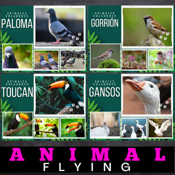 real flying animals
