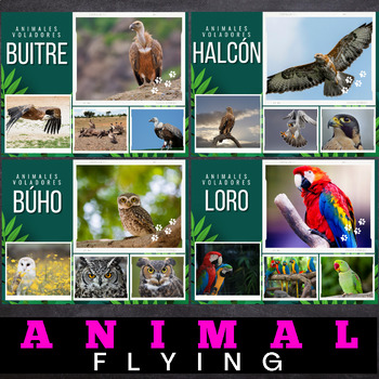 real flying animals