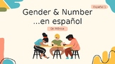 Learn how to express Gender & Number in Spanish (full less
