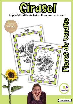 Preview of Spanish: Girasol | Hojas de ejercicios múltiples y diferenciados | sunflower