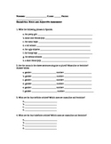Spanish Grammar Worksheet: Noun and Adjective Agreement & 
