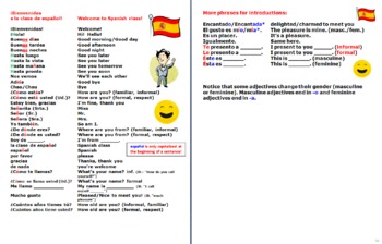 Preview of Spanish Greetings Farewells and Basics Vocabulary-Notebook