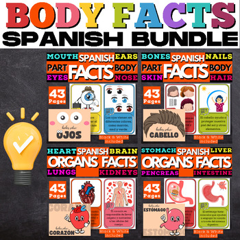 Preview of Spanish Humain Body Fact Cards Bundle : 4 groups of 16 Main Parts and Organs