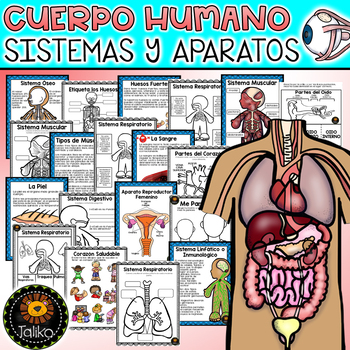Preview of Spanish: Human Body Systems (El Cuerpo Humano Sistemas) Distance Learning