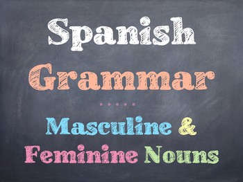 Spanish Masculine And Feminine Nouns PowerPoint by Sunny Side Up Resources