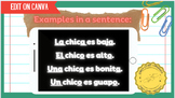 Spanish Noun/Adjective Agreement & Articles: CANVA