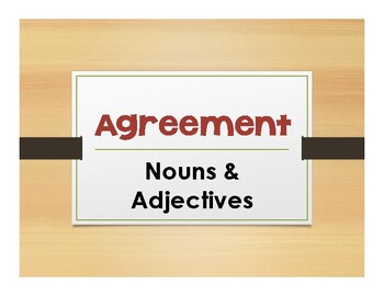 Preview of Spanish Noun Adjective Agreement Notes With Video