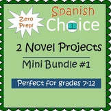 Spanish Novel Projects: Create a Character Sketch or Design a Class Kahoot