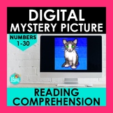Spanish Numbers 1-30 Reading Comprehension Mystery Picture