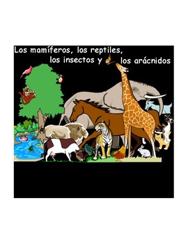 Preview of Spanish PDF Version: Mamíferos, reptiles, insectos y arácnidos (los animales)