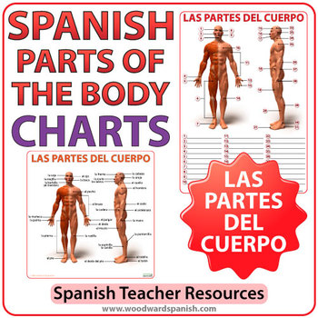Preview of Spanish Parts of the Body Charts - Las Partes del Cuerpo Humano