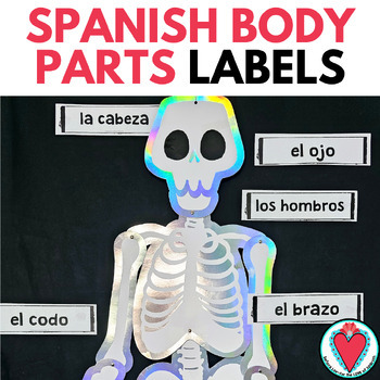 Preview of Spanish Parts of the Body Vocabulary Words Word Wall - Labels for Bulletin Board