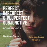 Spanish Present | Perfect | Imperfect and Pluperfect Subju