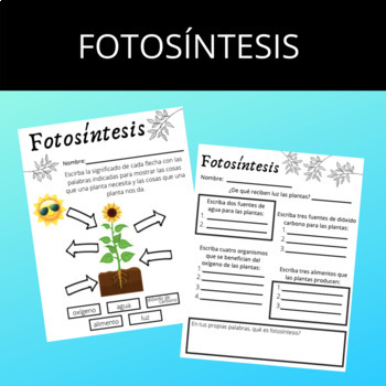 Preview of Spanish Photosynthesis Worksheet