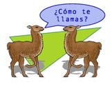 Spanish Phrase Signs with Visuals