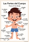 Spanish Posters for School Nurse - La enfermería Vocabular