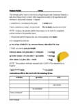 Spanish Present Perfect Handout + Worksheet (Regular/Irreg