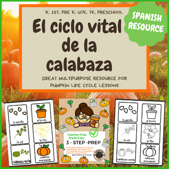 Preview of Spanish Pumpkin Life Cycle Flashcards for PreK, Kindergarten, TK, First