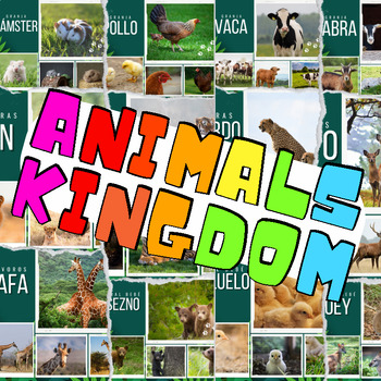 Preview of Spanish Real Life Photos For 8 Types of Animal Kingdom - 8 IN 1 BUNDLE